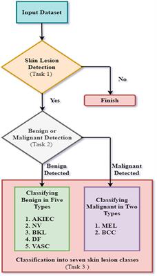 Enhanced skin cancer diagnosis through grid search algorithm-optimized deep learning models for skin lesion analysis